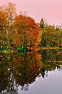 Preview wallpaper forest, lake, reflection, autumn