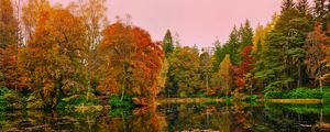 Preview wallpaper forest, lake, reflection, autumn