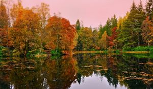 Preview wallpaper forest, lake, reflection, autumn