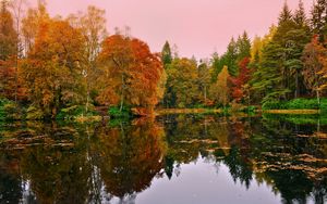 Preview wallpaper forest, lake, reflection, autumn