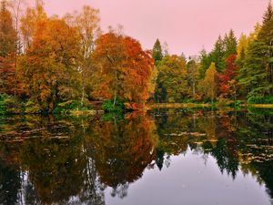 Preview wallpaper forest, lake, reflection, autumn