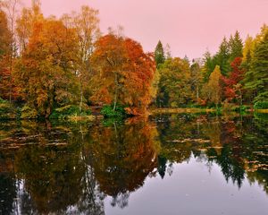 Preview wallpaper forest, lake, reflection, autumn