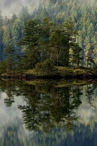 Preview wallpaper forest, lake, reflection, island, mist