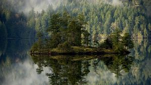 Preview wallpaper forest, lake, reflection, island, mist