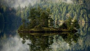 Preview wallpaper forest, lake, reflection, island, mist