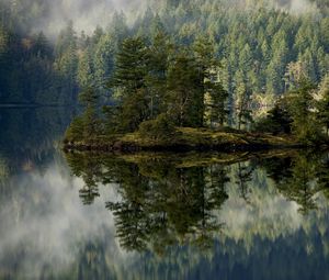 Preview wallpaper forest, lake, reflection, island, mist