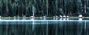 Preview wallpaper forest, lake, shore, trees, reflection