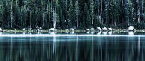 Preview wallpaper forest, lake, shore, trees, reflection