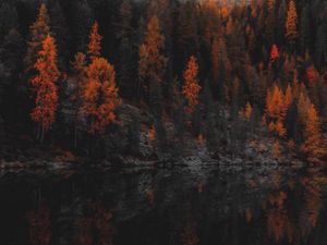 Preview wallpaper forest, lake, shore, mountains, landscape