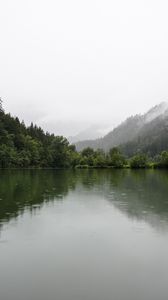 Preview wallpaper forest, lake, spruce, reflection, fog