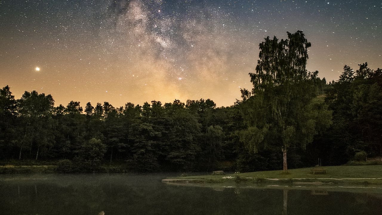 Wallpaper forest, lake, starry sky, nebula, stars
