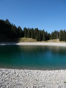 Preview wallpaper forest, lake, stones, shore, nature, landscape