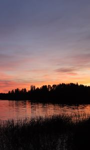 Preview wallpaper forest, lake, trees, grass, dark