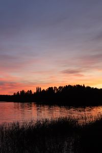 Preview wallpaper forest, lake, trees, grass, dark