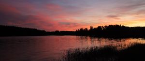 Preview wallpaper forest, lake, trees, grass, dark