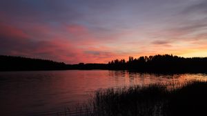 Preview wallpaper forest, lake, trees, grass, dark