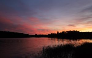 Preview wallpaper forest, lake, trees, grass, dark