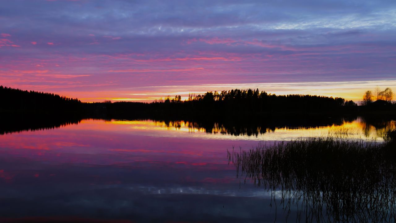 Wallpaper forest, lake, trees, evening, dark