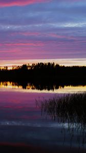 Preview wallpaper forest, lake, trees, evening, dark