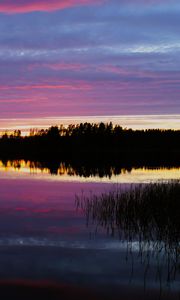 Preview wallpaper forest, lake, trees, evening, dark
