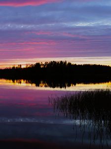 Preview wallpaper forest, lake, trees, evening, dark