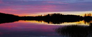 Preview wallpaper forest, lake, trees, evening, dark