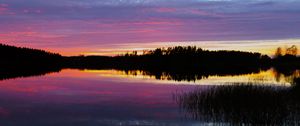 Preview wallpaper forest, lake, trees, evening, dark