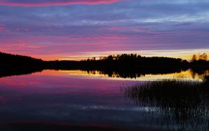 Preview wallpaper forest, lake, trees, evening, dark