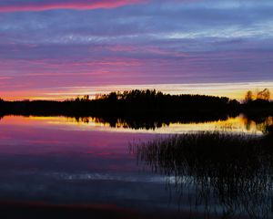 Preview wallpaper forest, lake, trees, evening, dark