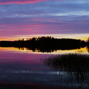 Preview wallpaper forest, lake, trees, evening, dark