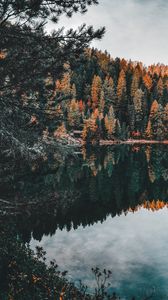 Preview wallpaper forest, lake, trees, water, reflection