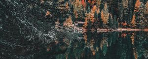 Preview wallpaper forest, lake, trees, water, reflection