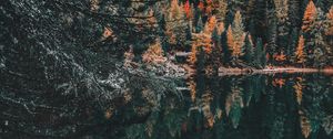 Preview wallpaper forest, lake, trees, water, reflection