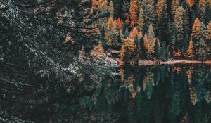 Preview wallpaper forest, lake, trees, water, reflection