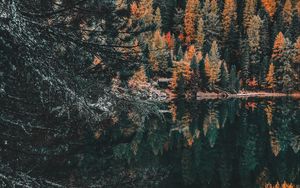 Preview wallpaper forest, lake, trees, water, reflection