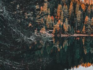 Preview wallpaper forest, lake, trees, water, reflection