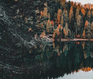 Preview wallpaper forest, lake, trees, water, reflection