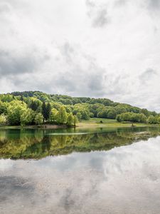 Preview wallpaper forest, lake, trees, reflection