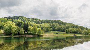 Preview wallpaper forest, lake, trees, reflection