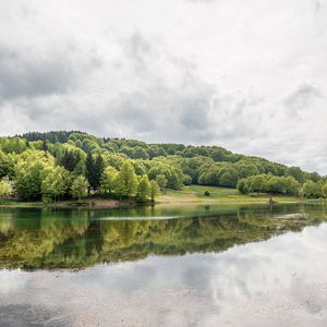 Preview wallpaper forest, lake, trees, reflection
