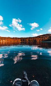 Preview wallpaper forest, lake, trees, ice, sky