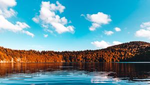 Preview wallpaper forest, lake, trees, ice, sky