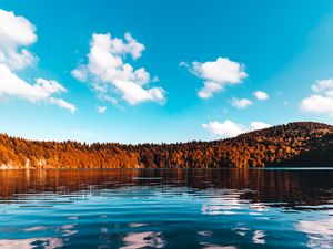 Preview wallpaper forest, lake, trees, ice, sky