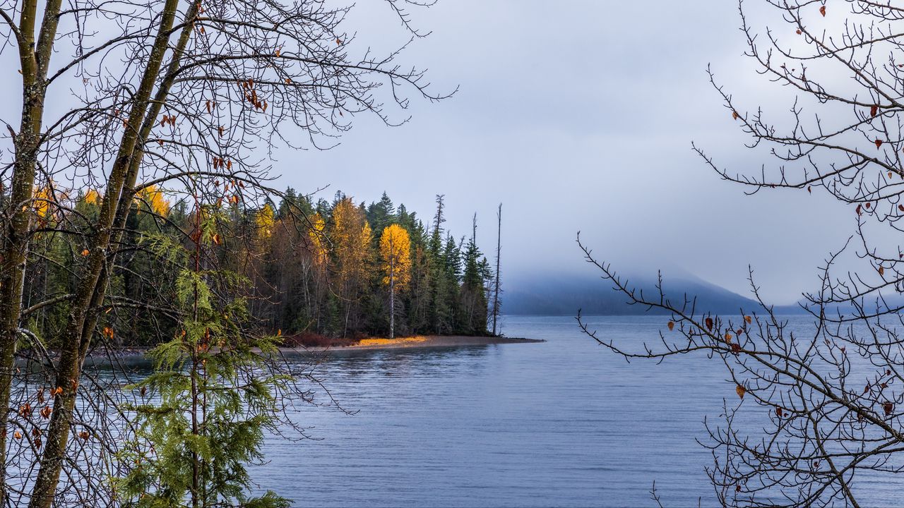 Wallpaper forest, landscape, autumn, trees, lake