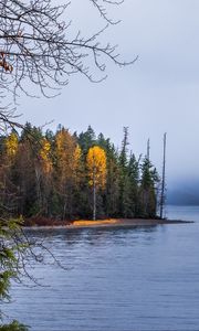 Preview wallpaper forest, landscape, autumn, trees, lake