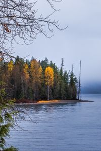 Preview wallpaper forest, landscape, autumn, trees, lake