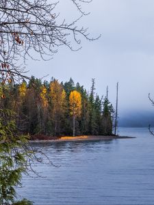 Preview wallpaper forest, landscape, autumn, trees, lake