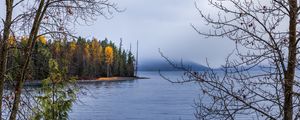 Preview wallpaper forest, landscape, autumn, trees, lake