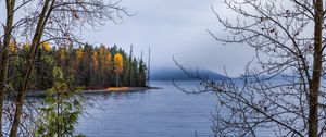 Preview wallpaper forest, landscape, autumn, trees, lake