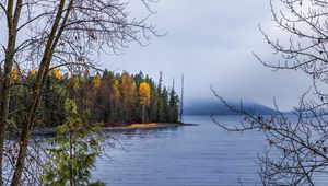 Preview wallpaper forest, landscape, autumn, trees, lake